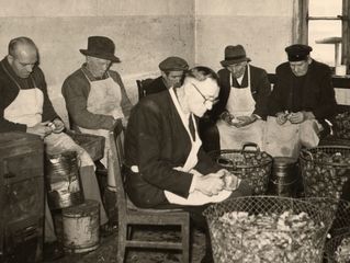 Men peeling potatoes