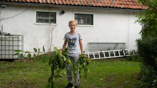 Kai collects plants to feed the animals.